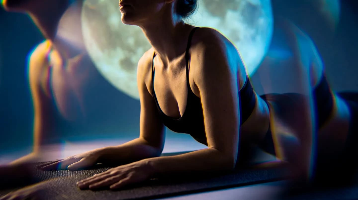 Сотрудничество